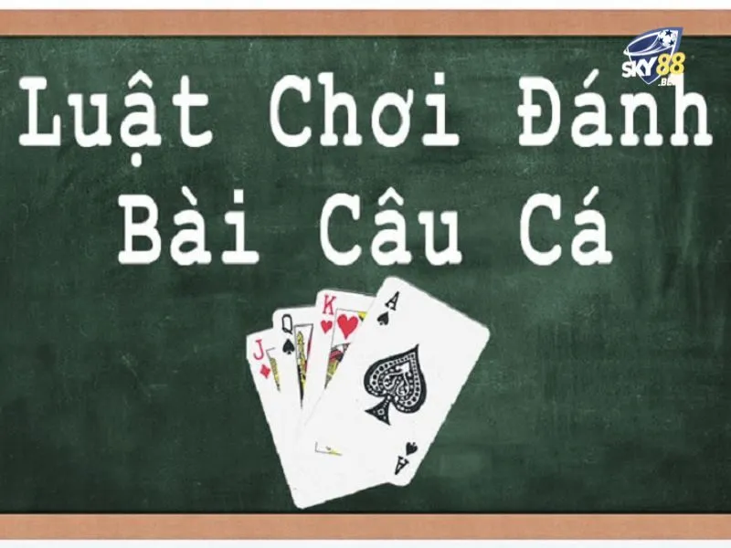 Chia bài câu cá ở mỗi ván có thể khác nhau